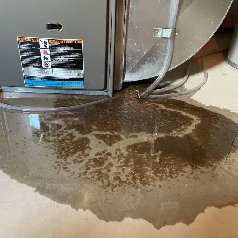 Appliance Leak Cleanup in West Frankfort, IL